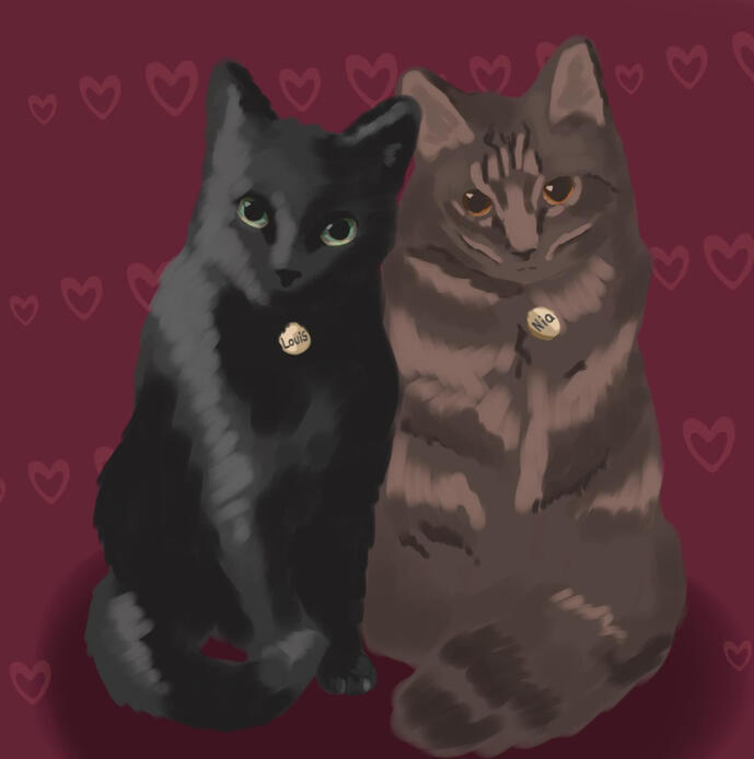 Cats